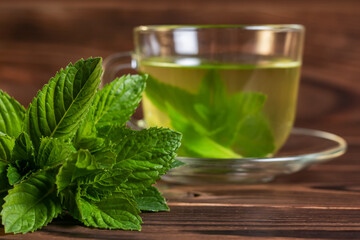 Fresh mint leaves on the background of a cup of tea with mint