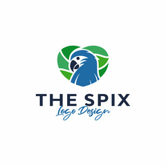 spix macaw logo design. Vector illustration of spix macaw bird and  love. modern logo design vector icon template  © muhammad