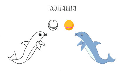 Cute dolphin animal line art color less image vector illustration, Children's pre school drawing page.
