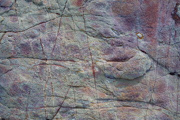 stone pattern floor. texture and background.