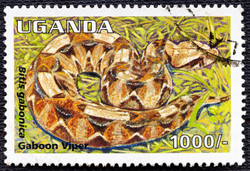 UGANDA - CIRCA 1995: A stamp printed in Uganda shows Gaboon Viper Bitis Gabonica , Reptilies...