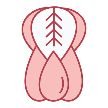 Bok Choy Icon Design