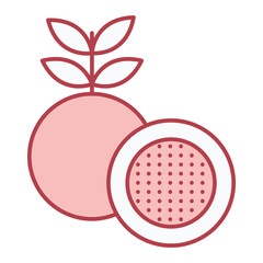 Passion Fruit Icon Design