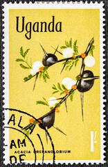 Uganda - circa 1969 : A stamp printed in Uganda shows Whistling Thorn Acacia drepanolobium , Native...