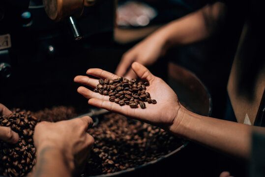 Close up image hands with roasted coffee beans pouring out of cupped hands in bunch of other coffee seeds.