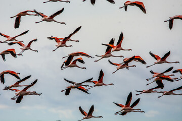 In the same direction