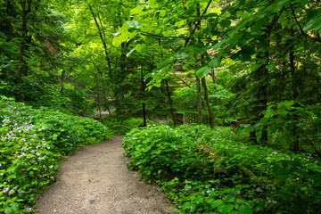 Obraz premium Trail to the Waterfall