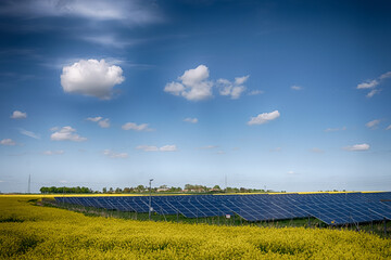 Fototapeta na wymiar Solar power battery plant on the field. Alternative electricity generation technologies.