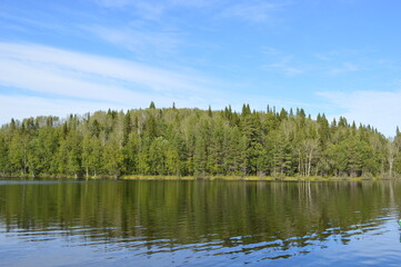 Russia, Solovetsky archipelago, lake in the forest