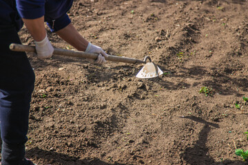 A man digs the earth in the garden. Selective focus.