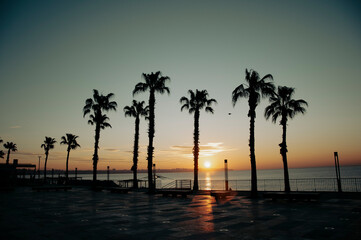 Obraz premium The setting sun through the palm trees on the beach.