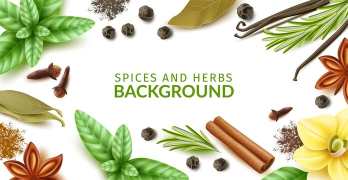 Spices and herbs frame. Realistic natural dishes ingredients, dry and fresh products, leaves, twigs and powders background, culinary backdrop, vanilla pods and flower, vector concept