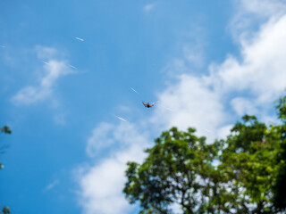 雨上がりの青空と雲とクモ