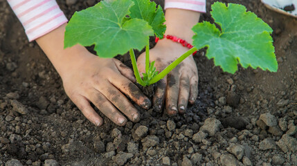 The child is planting a plant in the garden. Selective focus.