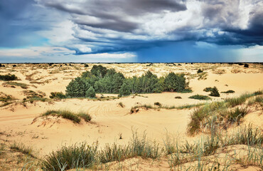 Fototapeta na wymiar Oleshky Sands is a desert in Ukraine.