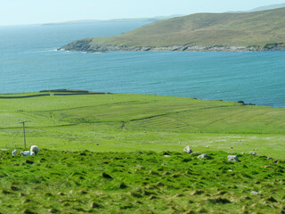 die schottischen Shetland-Inseln