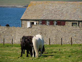 Die Shetland-Inseln in Schottland
