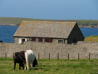 Die Shetland-Inseln in Schottland