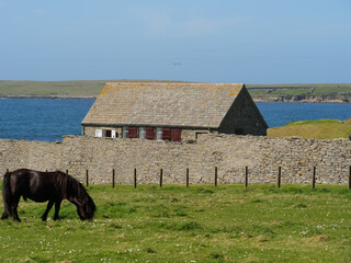 Die Shetland-Inseln in Schottland