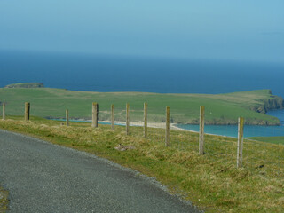 Fototapeta premium Frühling auf den Shetland-Inseln