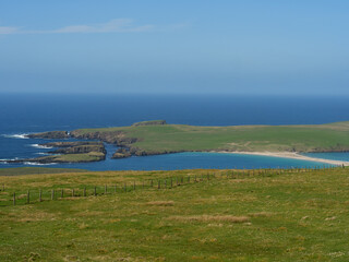 Frühling auf den Shetland-Inseln