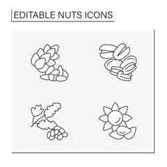 Fototapete Rund  Nuts line icons set. Cedar, pecans, quinoa and sunflower seeds.Ingredients for food preparation.Balanced nutrition concept. Isolated vector illustration. Editable stroke © Antstudio