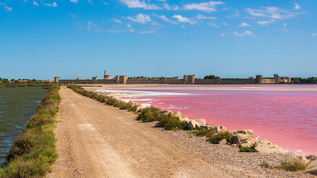 Sel en formation dans un marais salant rose du  salin d'Aigues mortes avec la ville royale m&eacute;di&eacute;vale &agrave; l'arri&egrave;re plan par une journ&eacute;e ensoleill&eacute;e