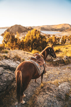 paseo en la monta&ntilde;a a caballo