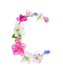 Letter C of flowers apple tree and blue wildflowers forget-me-nots on white background. Top view, flat lay
