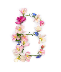 Letter B of flowers apple tree and blue wildflowers forget-me-nots on white background. Top view, flat lay