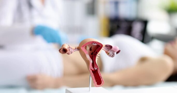 Pregnant woman on ultrasound in hospital examining uterus