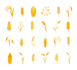 Cereals icons. Barley and wheat items. Rye and rice grain yellow silhouettes, bakery logo, grass fields decorative elements. Organic food labels, gluten emblem, bread logotype vector set