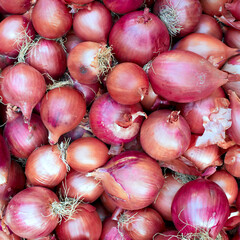 Organic dry onions top view closeup as a natural pattern background