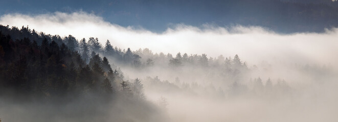 Nebel über dem Wald - Morgennebel im Herbst