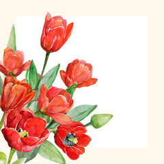 Pattern of tulips.Watercolor image on a white and color background.