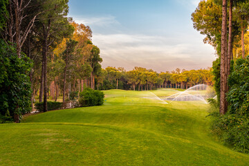  Scenic panoramic view of golf fairway. Golf course at sunset with beautiful sky. Golf field with pines