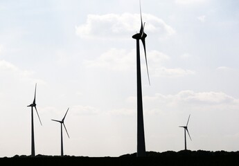 Silhouettes d'un ensemble d'éoliennes sur fond de ciel clair