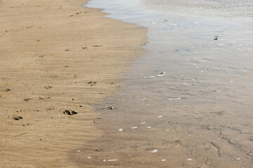 Fototapeta na wymiar Sea shore with ocean water lapping at the sandy beach