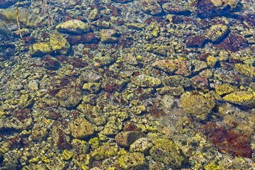 Large and small stones at the bottom covered with clear water of Lake Baikal on a sunny day. High quality photo