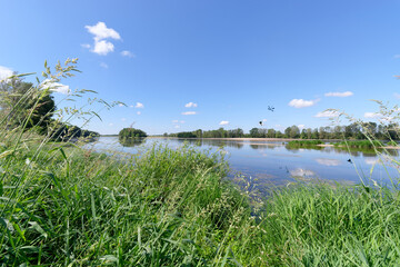 Path along the Loire river near the Bou village 