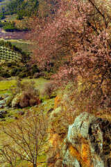 Sierra de Andújar, Jaén, Spain - obrazy, fototapety, plakaty
