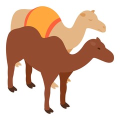 Desert animal icon isometric vector. Two standing different arabian camel icon. Desert nature, camelus, dromedary