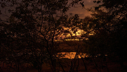 Sunset Between Trees