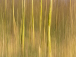Fototapeta premium Abstract motion blur background in soft brown and yellow with vertical lines.
