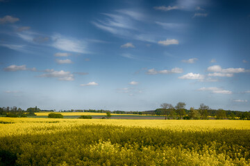 The perfect landscape of fields in a sunny day with perfect clouds in the sky