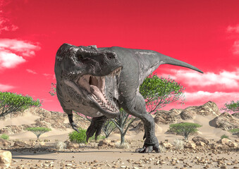 Fototapeta premium tyrannosaurus alone on desert looking for food