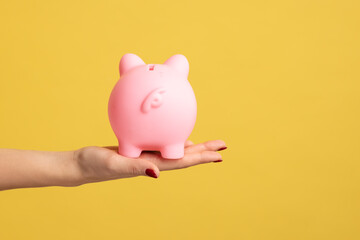 Obraz premium Closeup shot of woman hand holding pink piggy bank backwards to camera, investment, saving money, currency, deposit. Indoor studio shot isolated on yellow background.