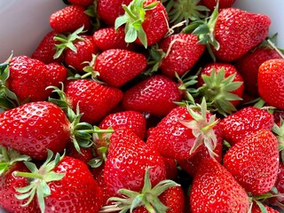 strawberries on a white background