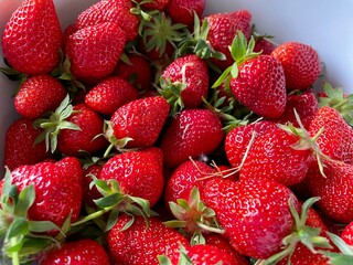 strawberries on a market