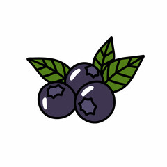 blueberry doodle icon, vector color line illustration